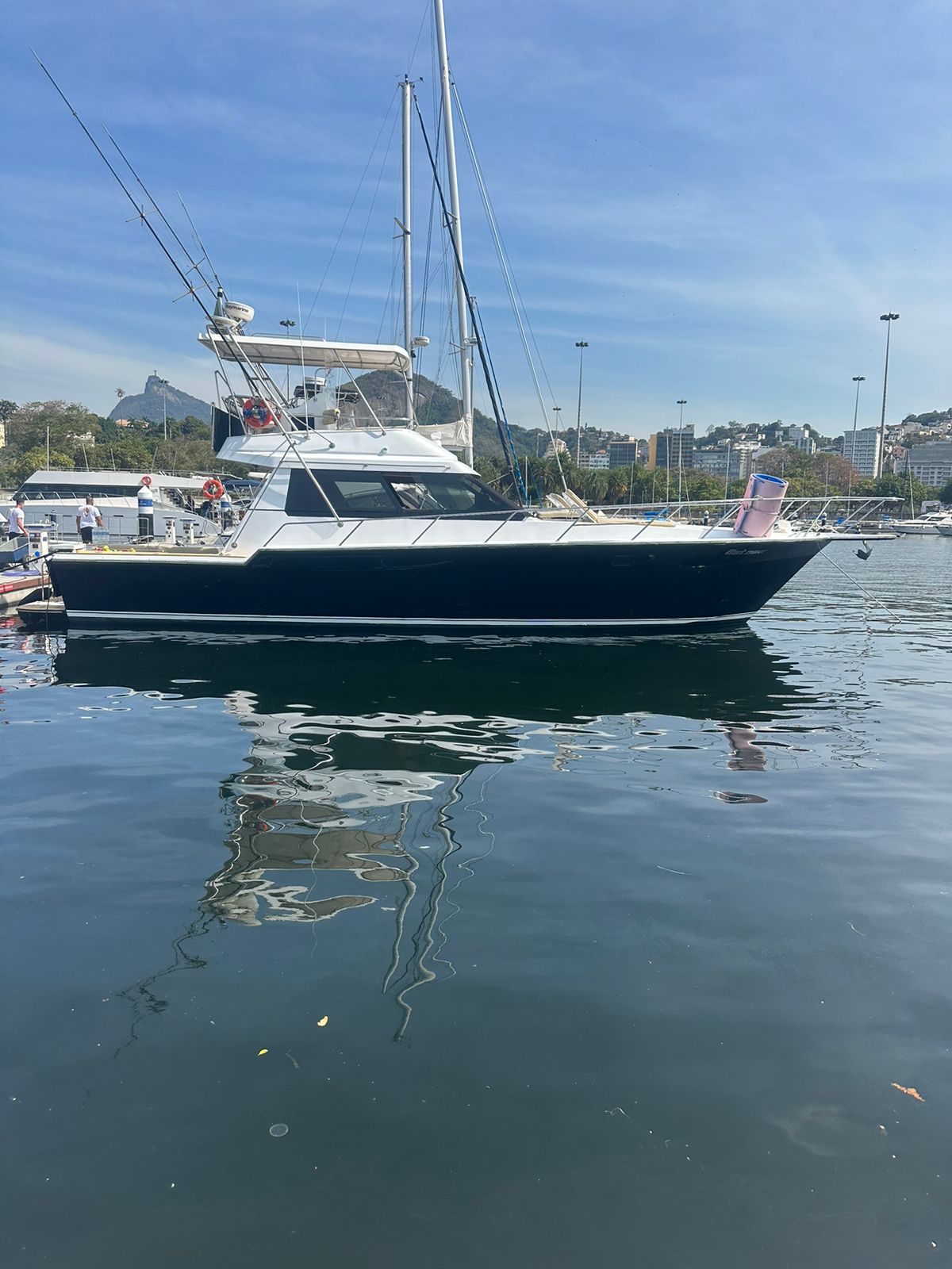 Mares 45