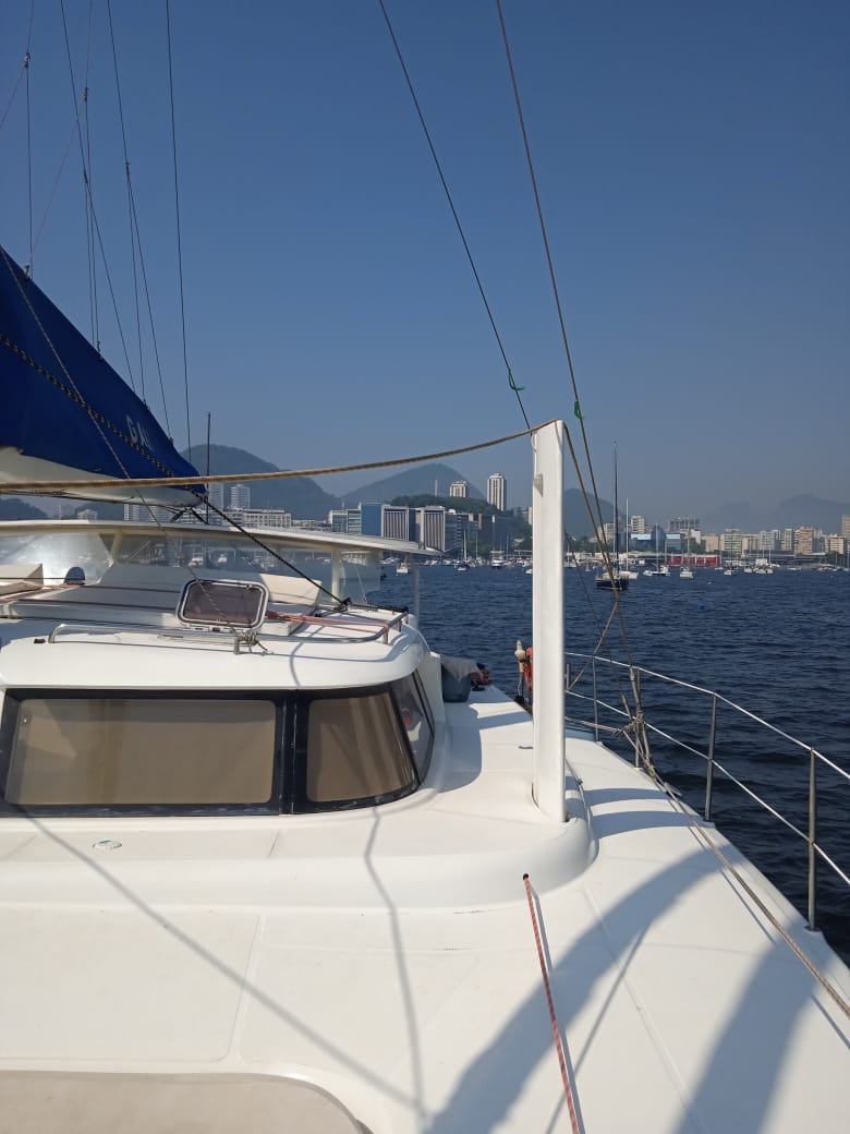dolphin 38