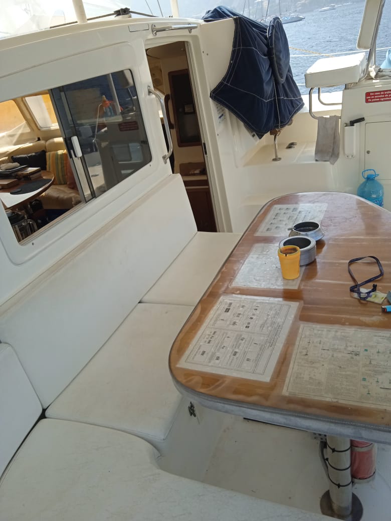 dolphin 38