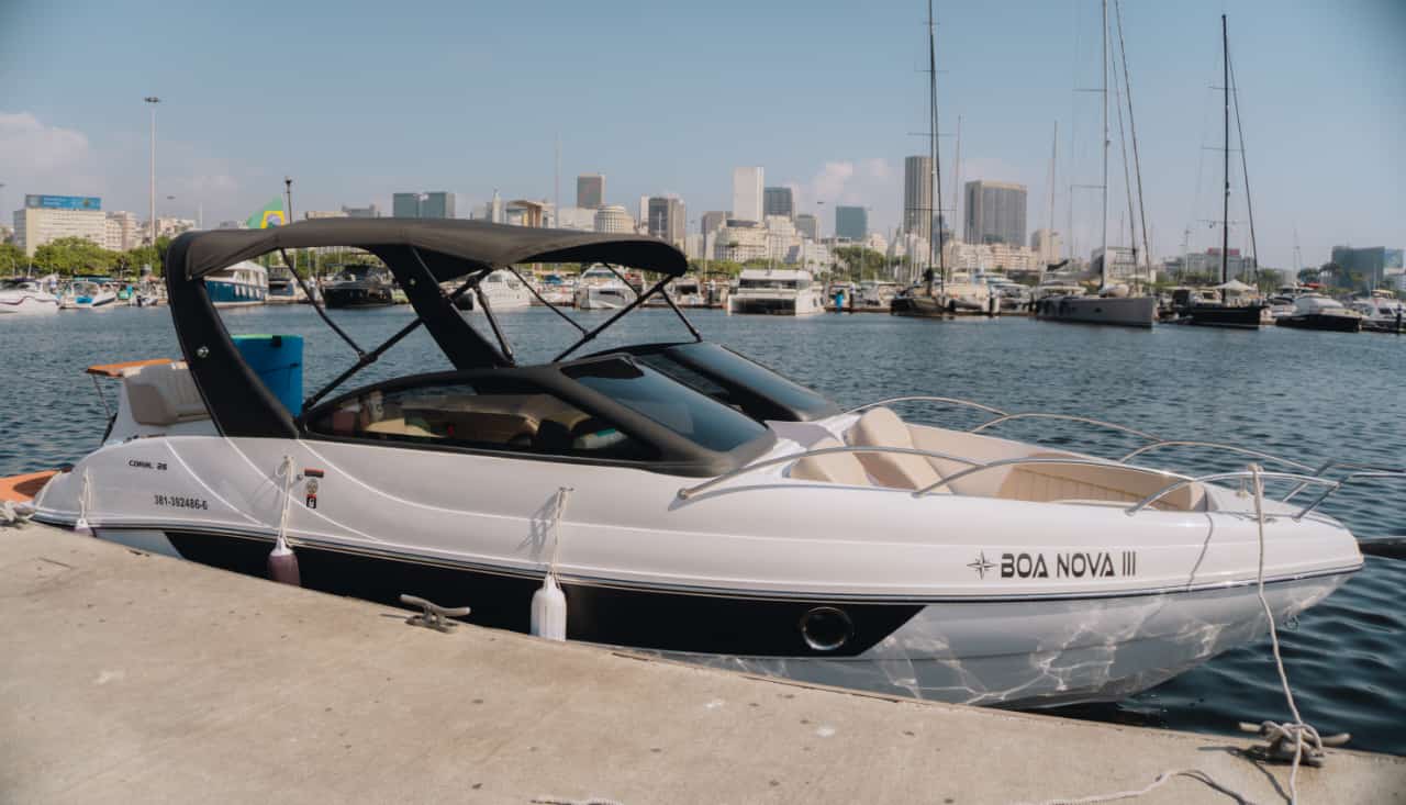 Cobra 26